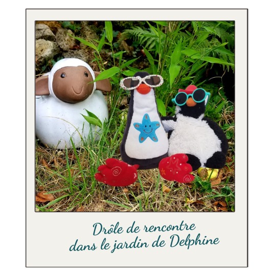 diaporama mr pingouin(1)